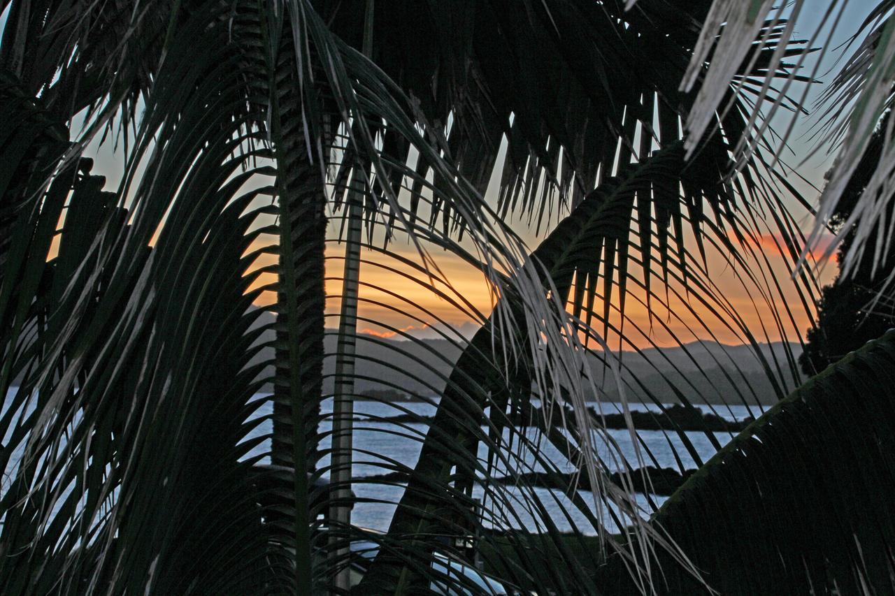 Driftwood Lodge Beachfront, Cable Bay, Northland Coopers Beach Exteriör bild